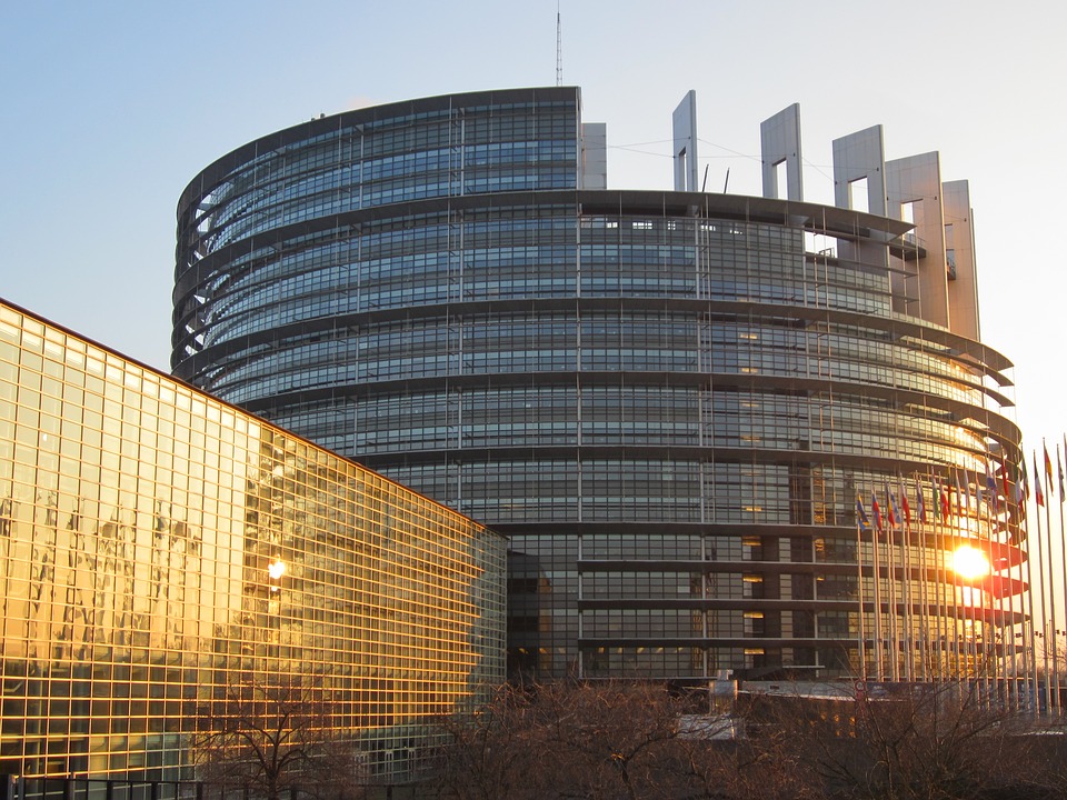 European Parliament: current and future dynamics