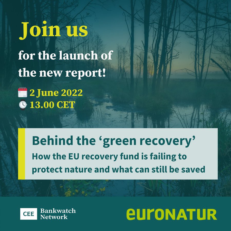 [Online] Launch of new report: Behind the ‘green recovery’