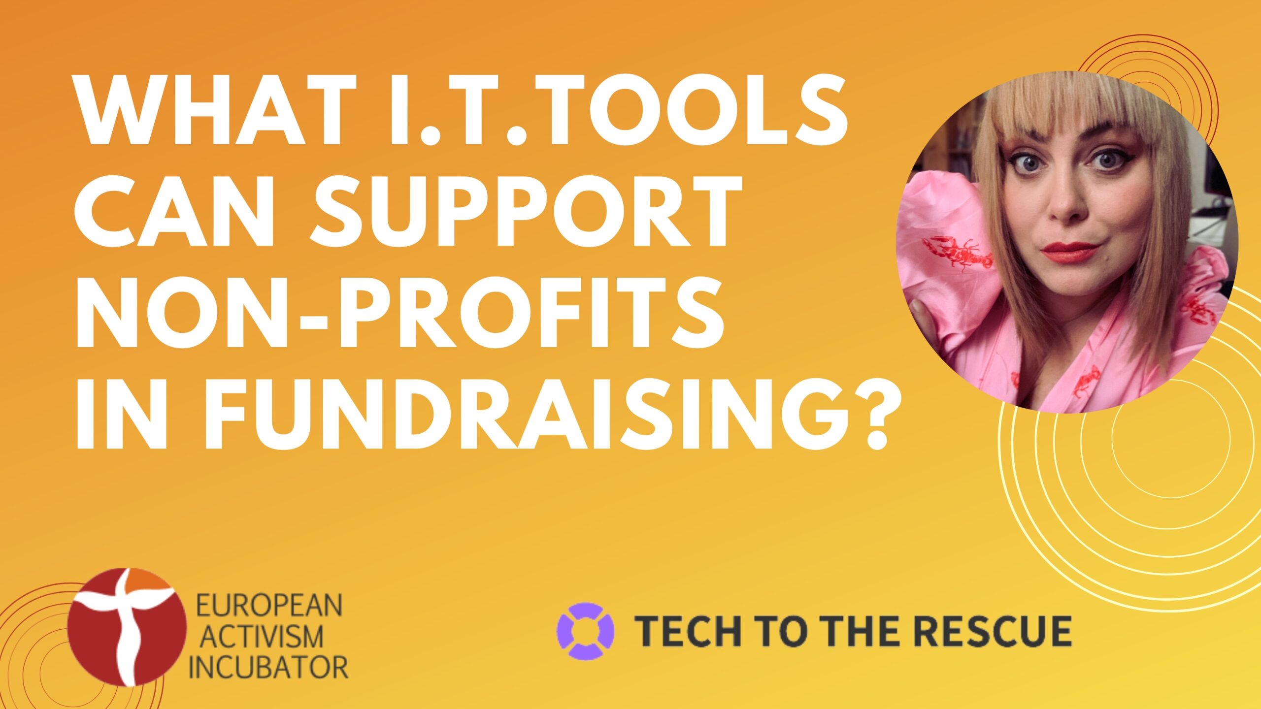 What IT tools can support non-profits in fundraising? – live interview with Hanna Polanowska from Tech to the Rescue